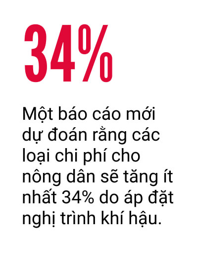 Các nhà phân tích: Trong lúc người Mỹ gặp khó khăn về tài chính, thì nghị trình khí hậu lại đang thúc đẩy các đợt tăng giá thực phẩm mới