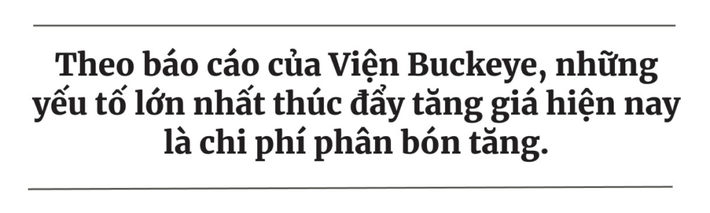 Các nhà phân tích: Trong lúc người Mỹ gặp khó khăn về tài chính, thì nghị trình khí hậu lại đang thúc đẩy các đợt tăng giá thực phẩm mới