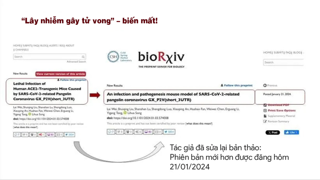 Các chuyên gia Trung Quốc công bố nghiên cứu về sự phát triển của loại virus gây 'tử vong 100%' ở chuột