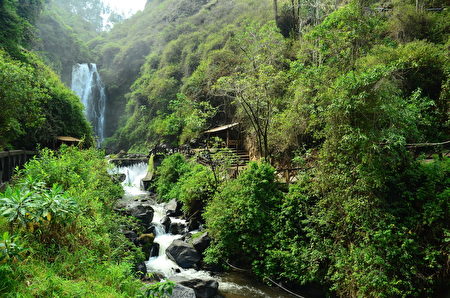 Thác nước trong rừng mưa nhiệt đới ở Ecuador. (Ảnh: Roman Kuryluk/Shutterstock)