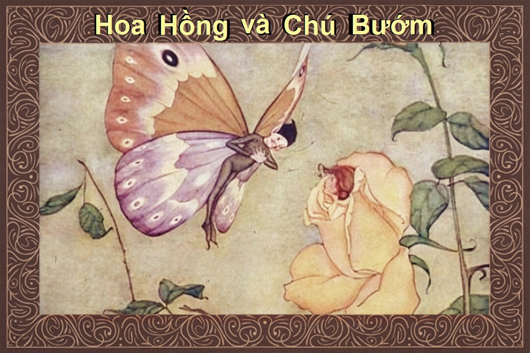 Truyện ngụ ngôn Aesop: Hoa Hồng và Chú Bướm