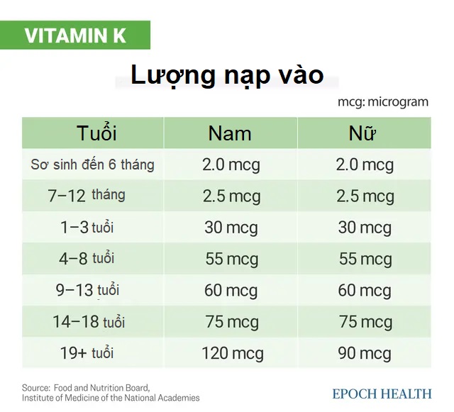 Vitamin K: Triệu chứng thiếu hụt, lợi ích sức khỏe, nguồn cung cấp tối ưu và tác dụng phụ