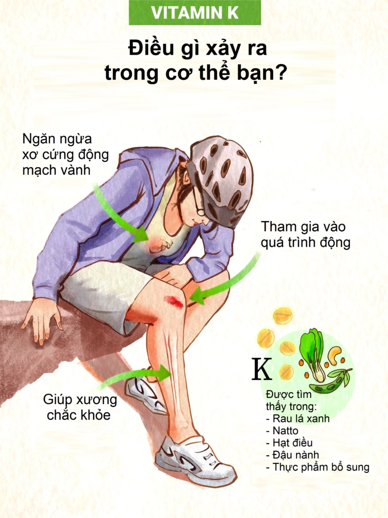 Vitamin K: Triệu chứng thiếu hụt, lợi ích sức khỏe, nguồn cung cấp tối ưu và tác dụng phụ