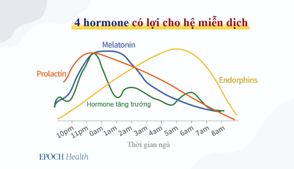 Thuốc kháng viêm có thể dẫn đến đau mạn tính, trong khi viêm có thể chữa lành