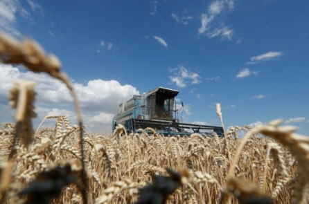 EU gia hạn miễn thuế quan cho nông sản Ukraine trong bối cảnh cuộc xâm lược của Nga