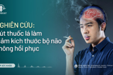 Hút thuốc lá làm giảm kích thước bộ não | Sức khỏe