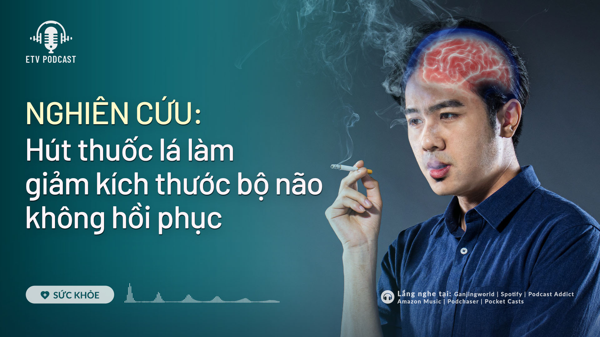 Hút thuốc lá làm giảm kích thước bộ não | Sức khỏe