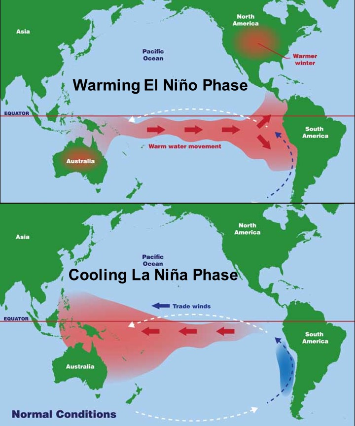 Ảnh trên: Giai đoạn El Niño ấm lên, Mũi tên màu đỏ — chuyển động của dòng nước ấm. Ảnh dưới: Giai đoạn La Niña làm mát, Mũi tên màu đỏ — chuyển động của dòng nước ấm, Mũi tên màu xanh — dòng tín phong