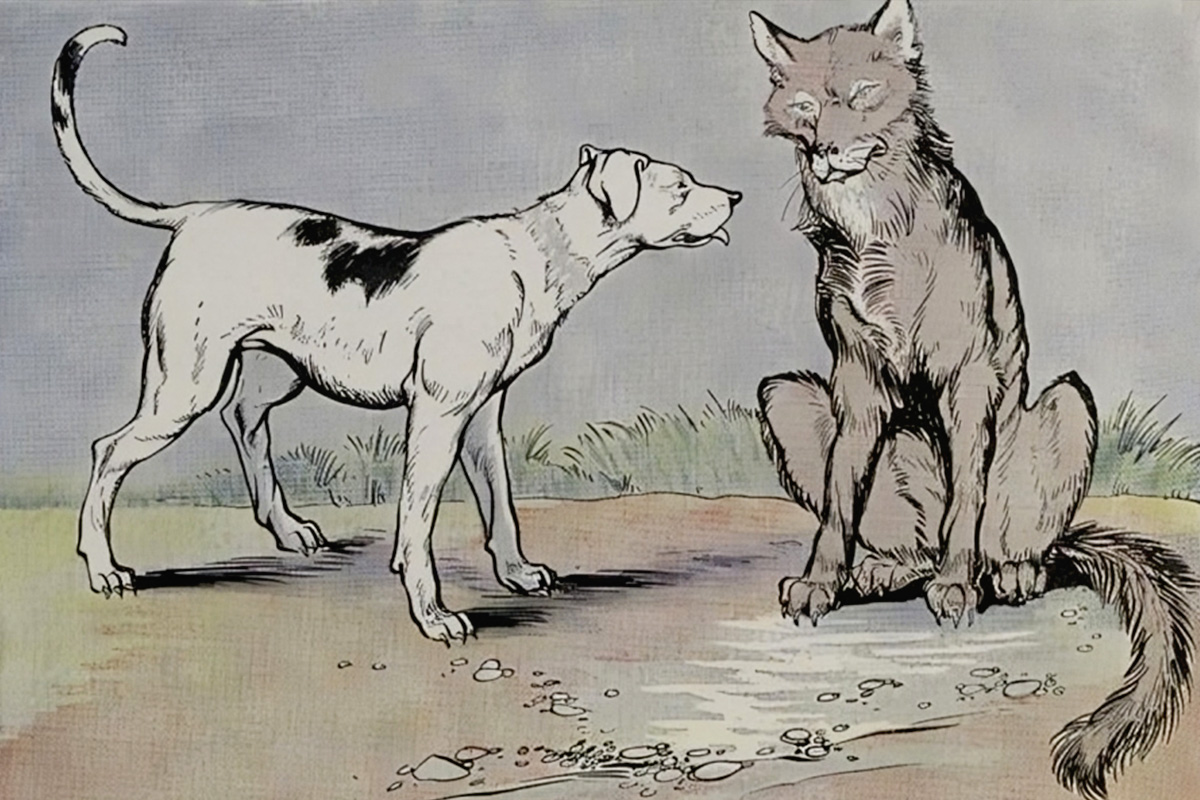Tranh minh họa “The Wolf and the House Dog” (Chó Sói và Chó Nhà) của họa sĩ Milo Winter, trích từ cuốn “The Aesop for Children” (Truyện Ngụ Ngôn Aesop Dành Cho Trẻ Em), năm 1919. (Ảnh: PD-US)