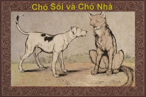 Truyện ngụ ngôn Aesop: Chó Sói và Chó Nhà