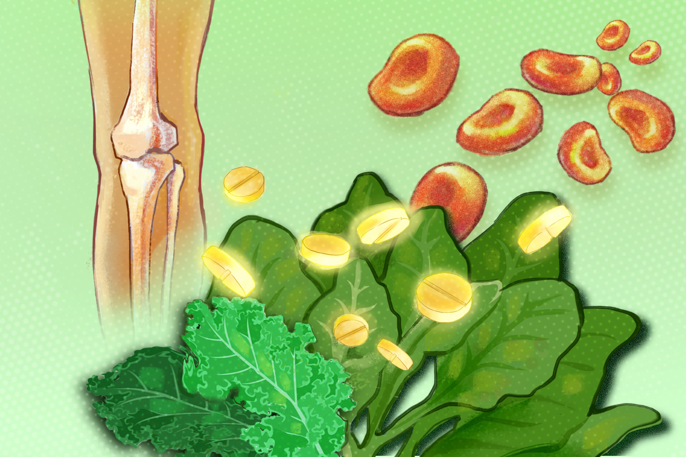 Vitamin K tham gia vào quá trình đông máu và củng cố xương. (Minh họa của The Epoch Times)