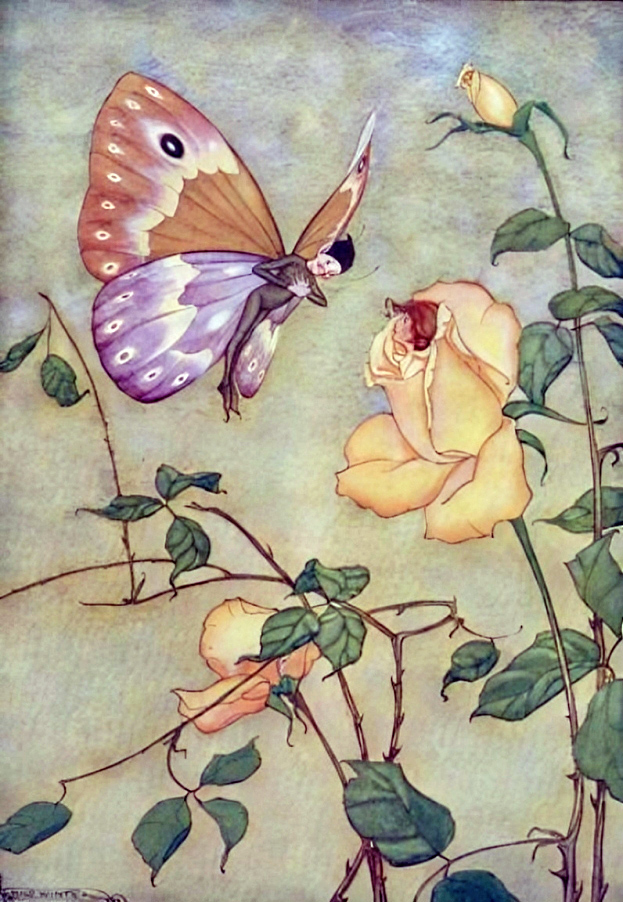 Tranh minh họa “The Rose and the Butterfly” (Hoa hồng và chú bướm) của họa sĩ Milo Winter, trích từ cuốn “The Aesop for Children” (Truyện Ngụ Ngôn Aesop Dành Cho Trẻ Em), năm 1919. (Ảnh: PD-US)
