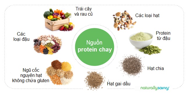 Protein thực vật giúp chúng ta sống lâu và sống khỏe mạnh