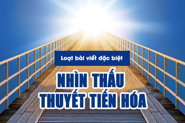 Nhìn thấu ‘Thuyết tiến hóa’ (Chương 5): Khoa học về luân hồi và cận tử tiết lộ bản chất của sinh mệnh (P.1)