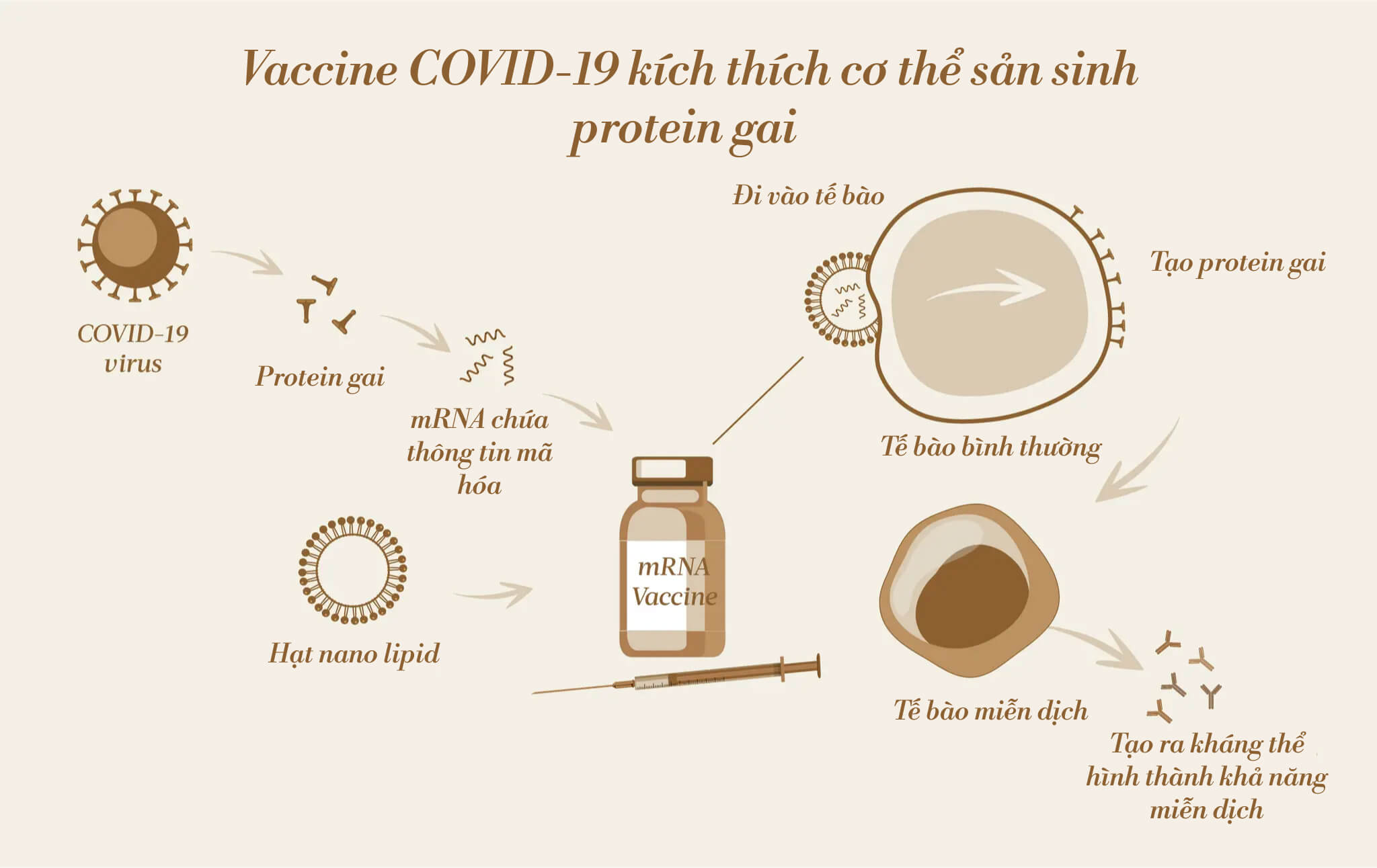 Vaccine mRNA COVID-19 kích thích cơ thể tạo ra các protein gai, từ đó kích thích hệ miễn dịch tạo ra khả năng miễn dịch. (Ảnh: The Epoch Times, Shutterstock)