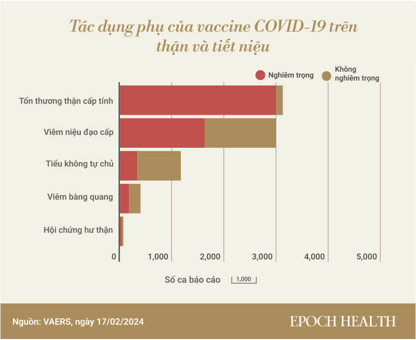 Một loạt tác dụng phụ của vaccine COVID-19 đáng chú ý dựa trên bằng chứng xác thực