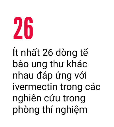 Ivermectin có thể là một 'loại thuốc mạnh' chống lại bệnh ung thư, đây là lý do tại sao