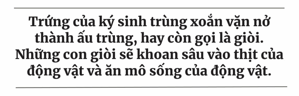 Các chuyên gia cảnh báo: Tình trạng di cư ồ ạt đe dọa đến an ninh lương thực của Hoa Kỳ