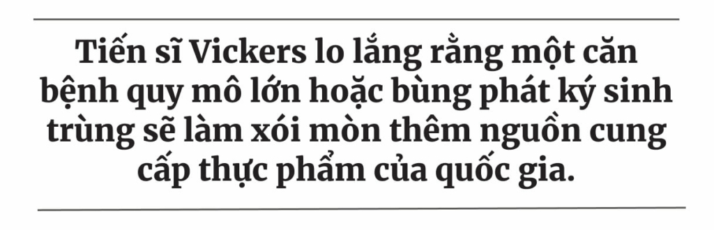 Các chuyên gia cảnh báo: Tình trạng di cư ồ ạt đe dọa đến an ninh lương thực của Hoa Kỳ