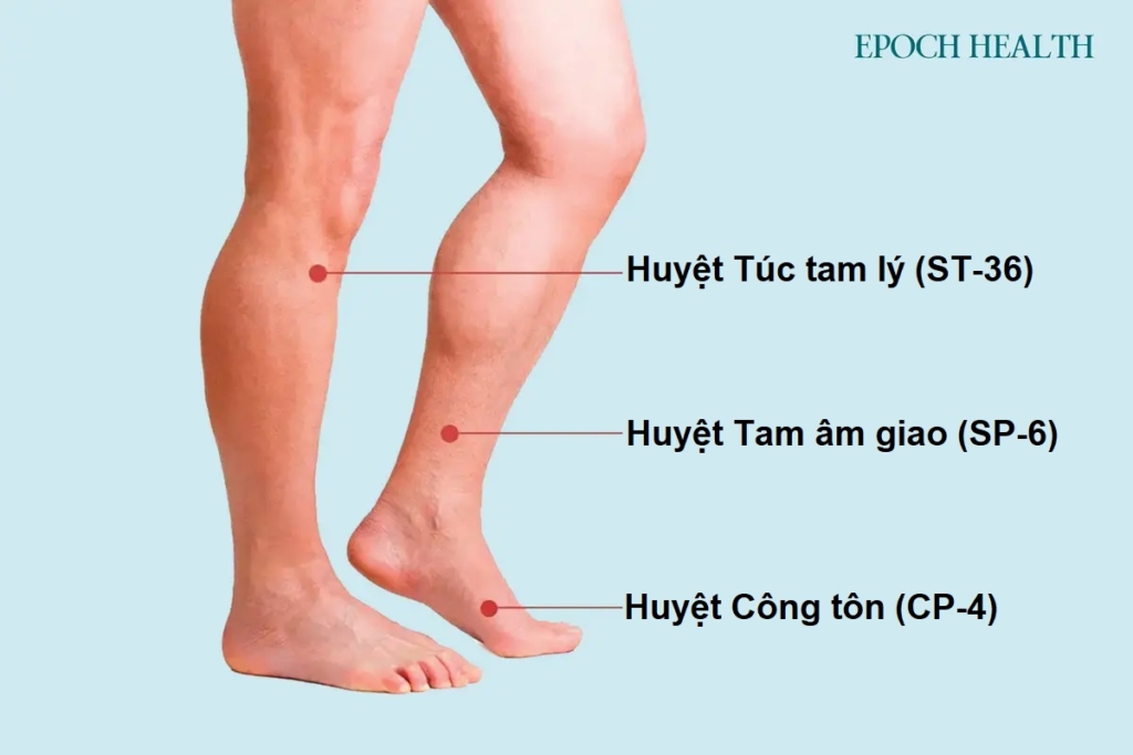 2 loại béo phì theo Trung y và phương pháp giảm cân cổ xưa