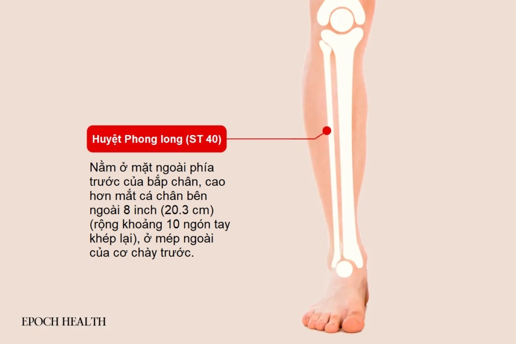 5 loại thực phẩm giúp hạ cholesterol và cách đơn giản để kiểm tra mức cholesterol