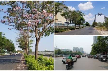 Việt Nam tăng nhiệt, miền Trung hơn 42 độ C, mặt đường Hà Nội bỏng rát hơn 55 độ C