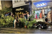 Hà Nội xuất hiện mưa đá, hàng loạt cây xanh gãy đổ