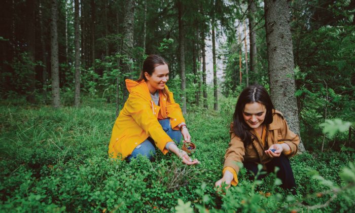 Phần Lan có thực sự là vùng đất hạnh phúc?
