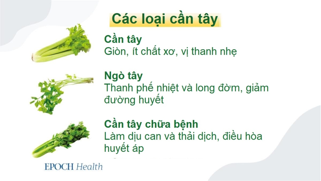 Sáu lợi ích sức khỏe chính của cần tây, 4 kiểu người nên tránh