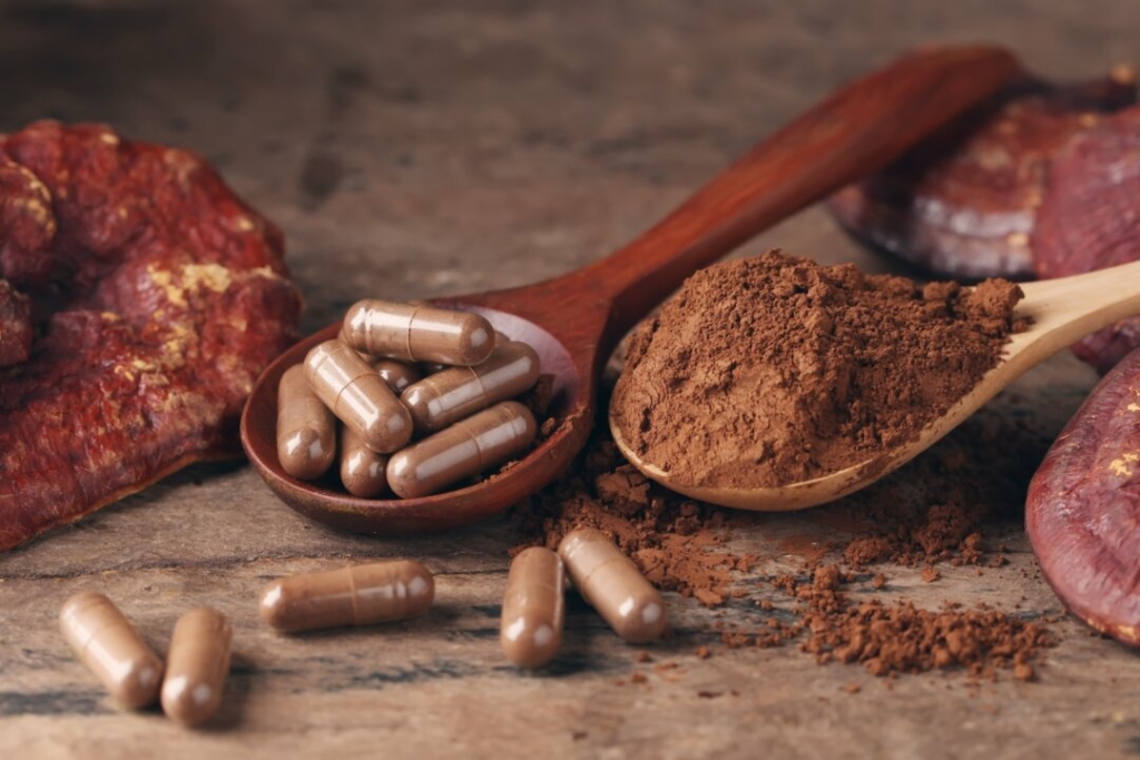 Các loại nấm dược liệu: Đông trùng hạ thảo, Linh chi và Bờm sư tử