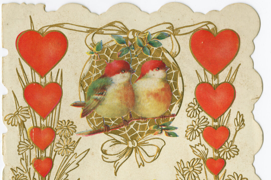 Ảnh chụp chi tiết hình ảnh hai con chim trên tấm bưu thiếp Ngày Valentine, khoảng năm 1930. (Ảnh: Kean Collection/Archive Photos/Getty Images)