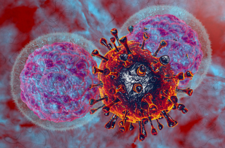 Nghiên cứu của Đại học Stanford: Các tế bào miễn dịch dễ bị tổn thương do COVID nhất