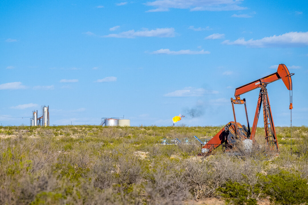Một máy bơm dầu gần khu vực lân cận Callon Petroleum ở Monahans, Texas, hôm 27/03/2024. (Ảnh: Brandon Bell/Getty Images)