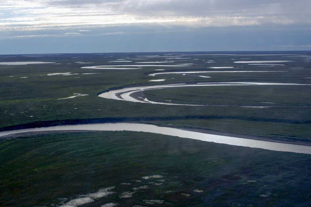 Lạch Fish Creek chảy qua Khu dự trữ Dầu khí Quốc gia-Alaska, do Cục Quản lý Đất đai ở North Slope của Alaska quản lý, ngày 08/07/2004. (Ảnh: David W. Houseknecht/Cục Khảo sát Địa chất Hoa Kỳ qua AP)