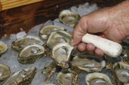 California: 11 ca nhiễm virus noro ở quận San Diego có liên quan đến hàu đông lạnh của Nam Hàn