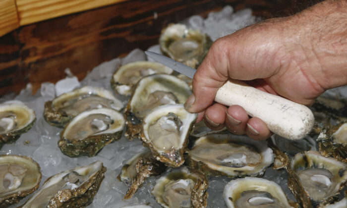 Hàu được trưng bày ở Apalachicola, Florida, trong một bức ảnh tư liệu. (Ảnh: Phil Sears/Ảnh AP)