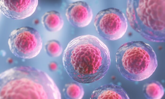 Nghiên cứu khám phá tác nhân gây lão hóa tế bào: ‘Hy vọng về sự trường thọ khỏe mạnh’
