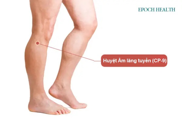 Cải thiện quá trình chuyển hóa với 5 loại thực phẩm và liệu pháp xoa bóp huyệt
