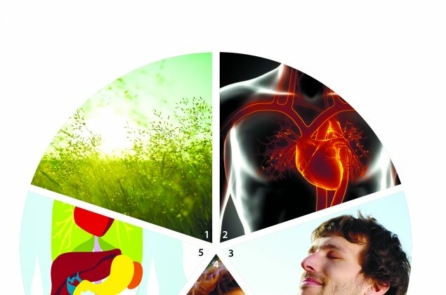 Chăm sóc tốt cho Khí của bạn