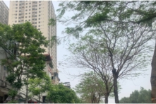 Việt Nam: Miền Bắc mưa giông nhiều ngày, bão Ewiniar có vào biển Đông?