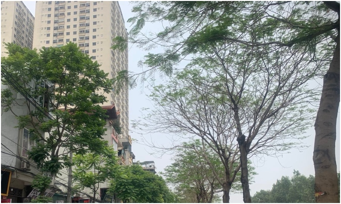 Miền Bắc mưa giông kéo dài