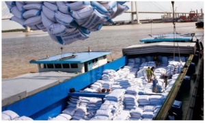 Việt Nam: Giá gạo xuất cảng giảm mạnh, thấp nhất trong 6 nước
