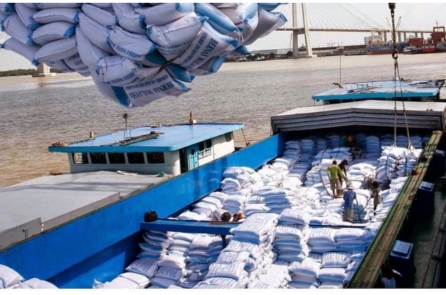 Việt Nam: Giá gạo xuất cảng giảm mạnh, thấp nhất trong 6 nước hàng đầu