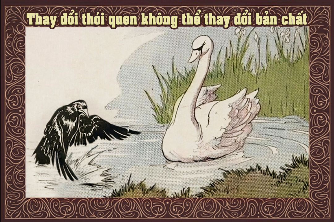 Truyện ngụ ngôn Aesop: Quạ đen và Thiên Nga