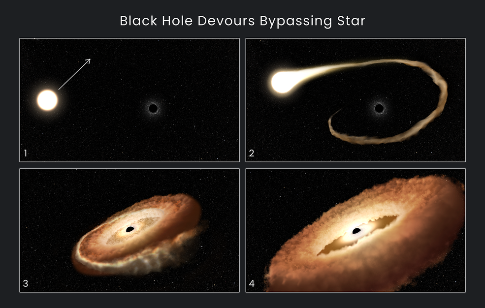 Bốn bước lỗ đen thực hiện để nuốt chửng một hằng tinh. (Ảnh: NASA, ESA, Leah Hustak (STScI))