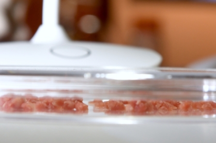 Florida trở thành tiểu bang đầu tiên cấm ‘thịt giả’