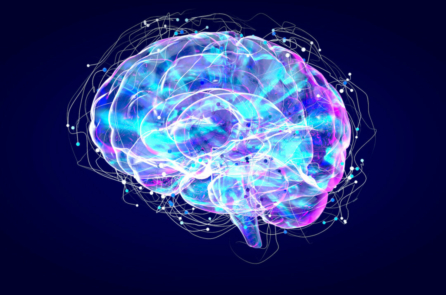 Harvard hợp tác cùng Google để tạo ra bản đồ bộ não người chi tiết nhất từ trước đến nay