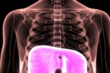 (Ảnh: Life science/Shutterstock)