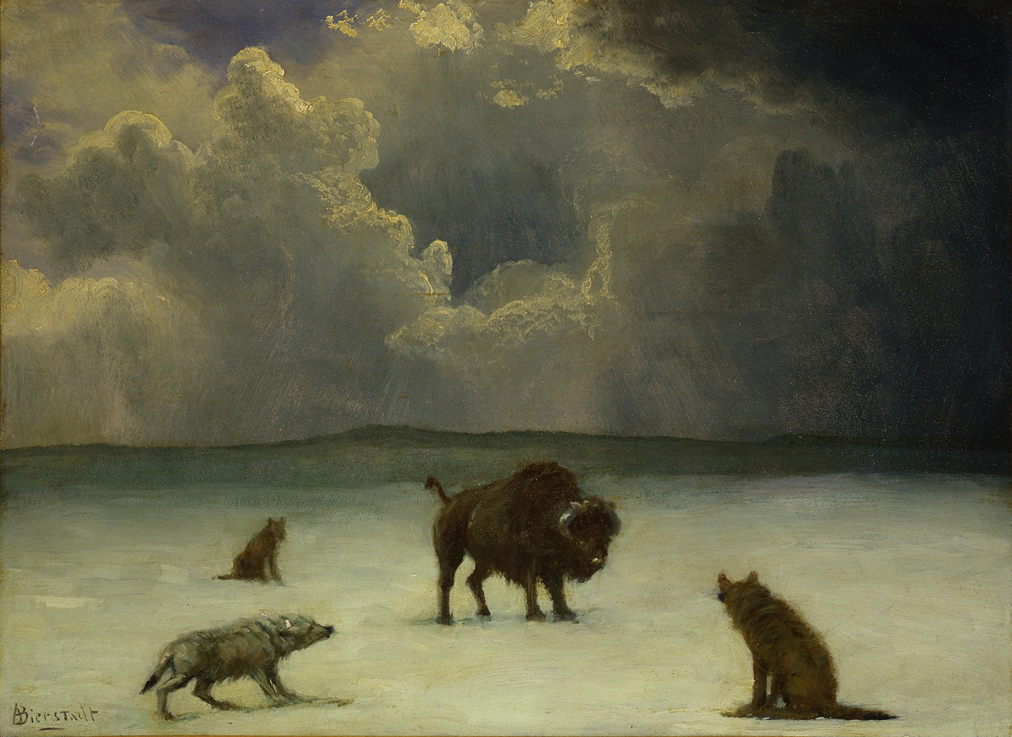 Bức tranh “Trapped” (Bị Vây Bắt), thế kỷ 19, của họa sỹ Albert Bierstadt. Sơn dầu trên giấy dán lên bìa cứng; 11 inch x 15 inch (28cm x 38cm). Bảo tàng Nghệ thuật Miền Tây Whitney, Trung tâm Buffalo Bill của miền Tây, thành phố Cody, tiểu bang Wyoming. (Ảnh: Tư liệu công cộng)