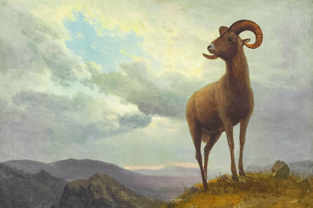Những con thú hoang dã to lớn của họa sỹ Bierstadt
